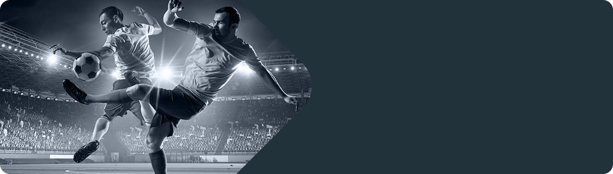 sudoku solving asset
